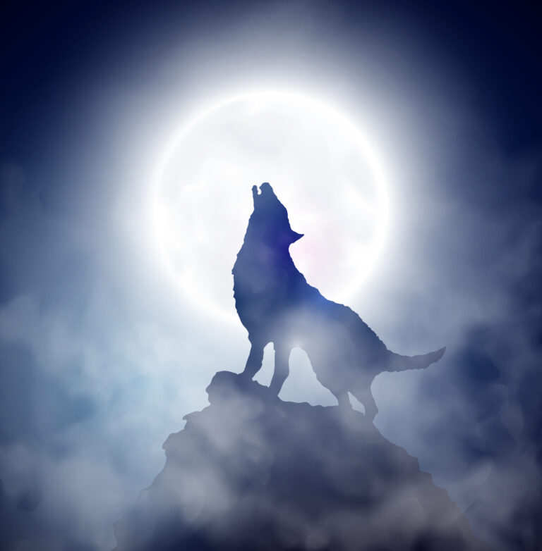 Full Wolf Moon