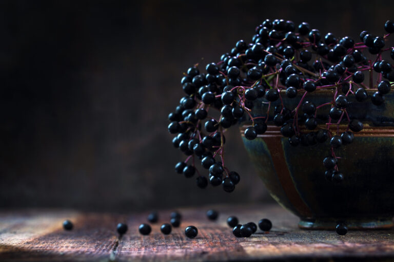 Black elderberries bunch (Sambucus nigra) in an old clay bowl and some berries on a rustic wooden table