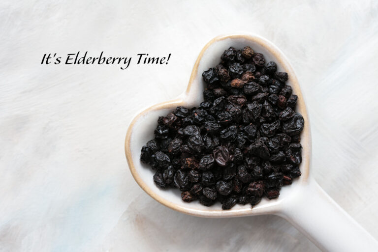 It’s Elderberry Time!