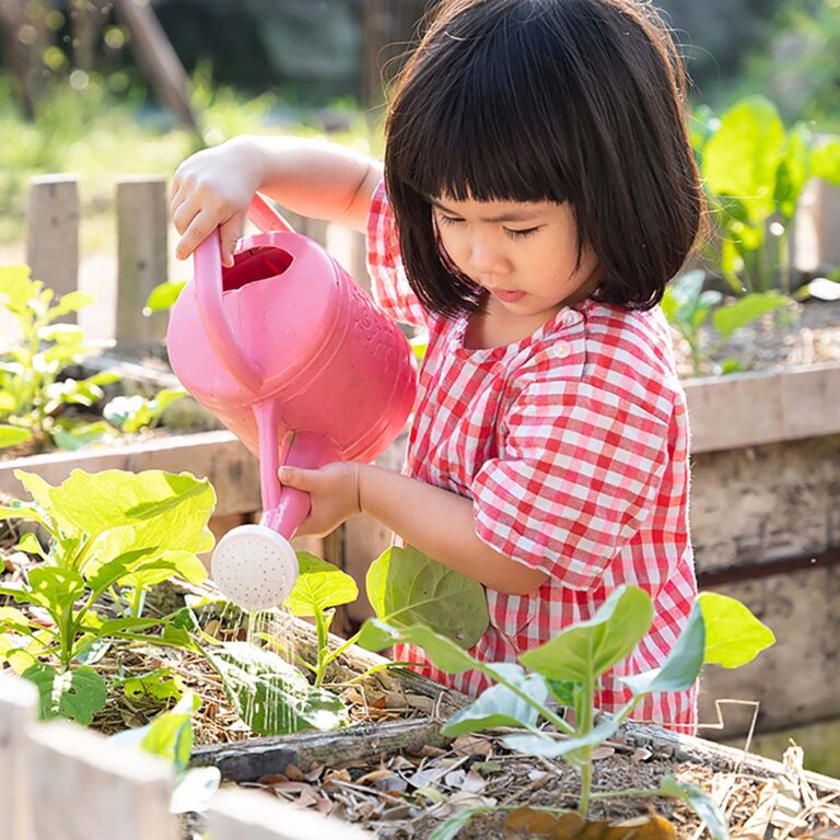 Sustainable Organic Gardening and Greener Way of Living Workshop