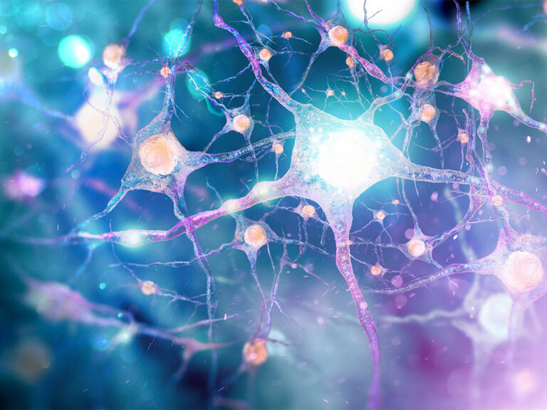 Illustration of interconnected neurons and nerve cells glowing in blue, teal, and violet tones.