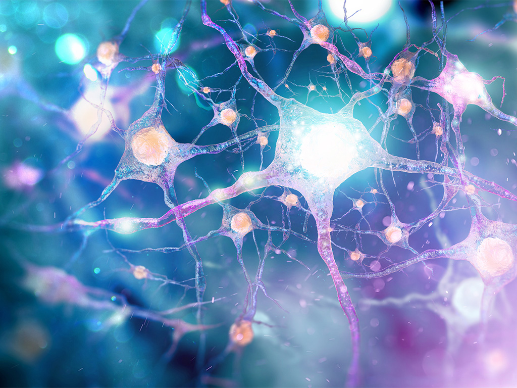 Illustration of interconnected neurons and nerve cells glowing in blue, teal, and violet tones.