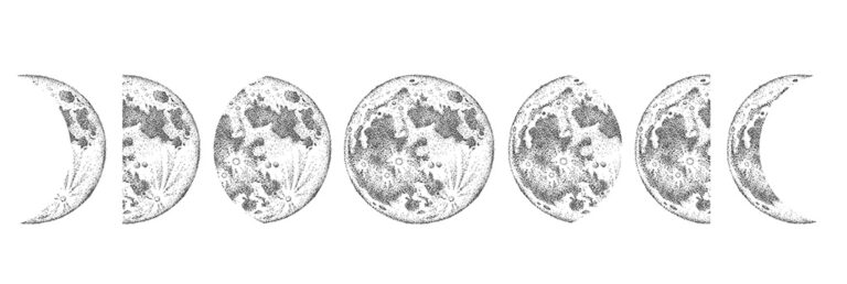 Illustrated phases of the moon for Moonology article