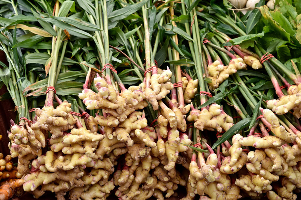 Ginger Root